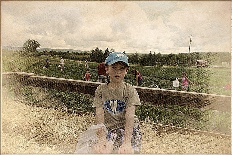 _MG_9381_.jpg