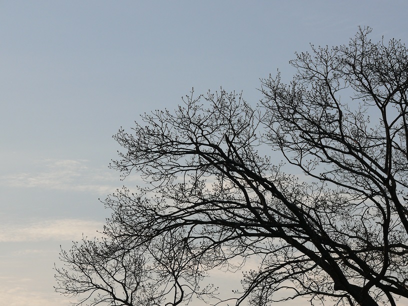 L1450365.JPG
