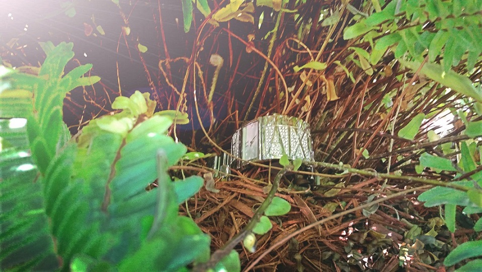 20140814_110559_conew2.jpg