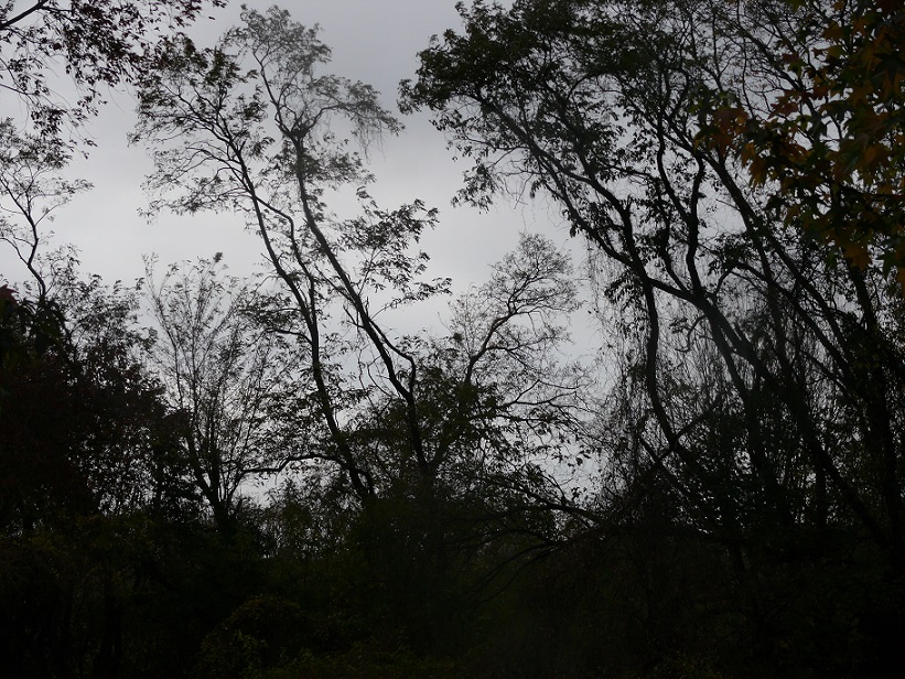 L1090287.JPG