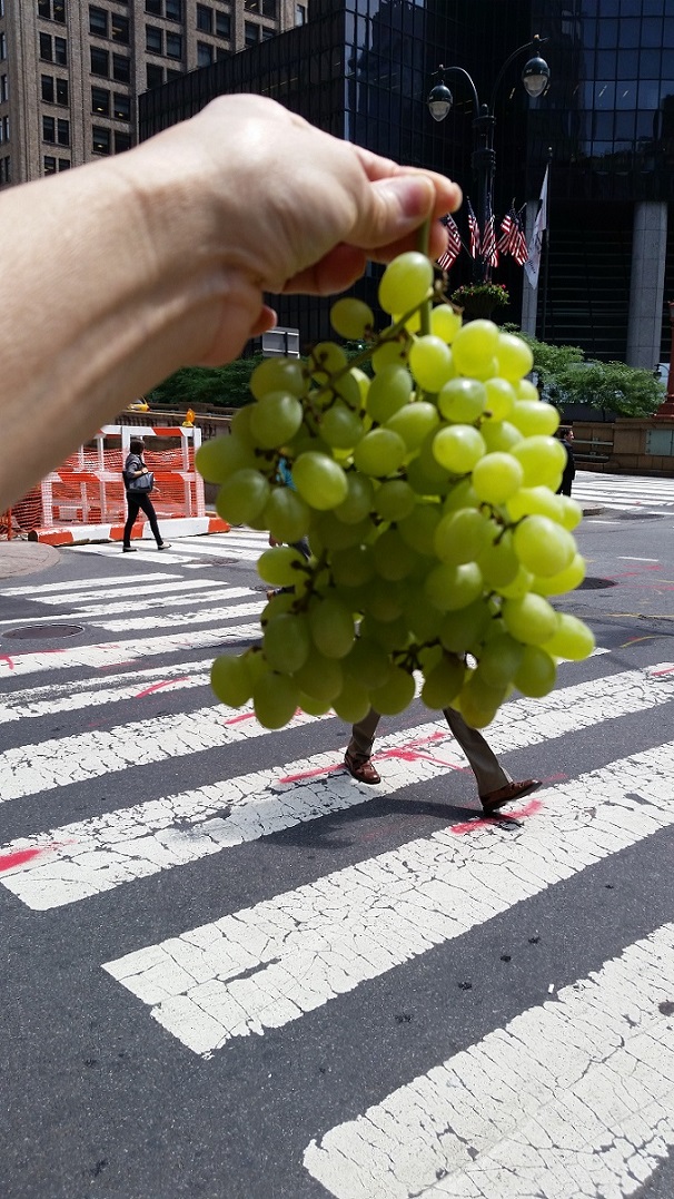 20140801_113933.jpg