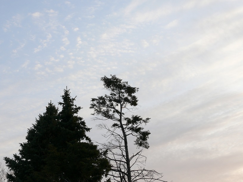 L1450199.JPG