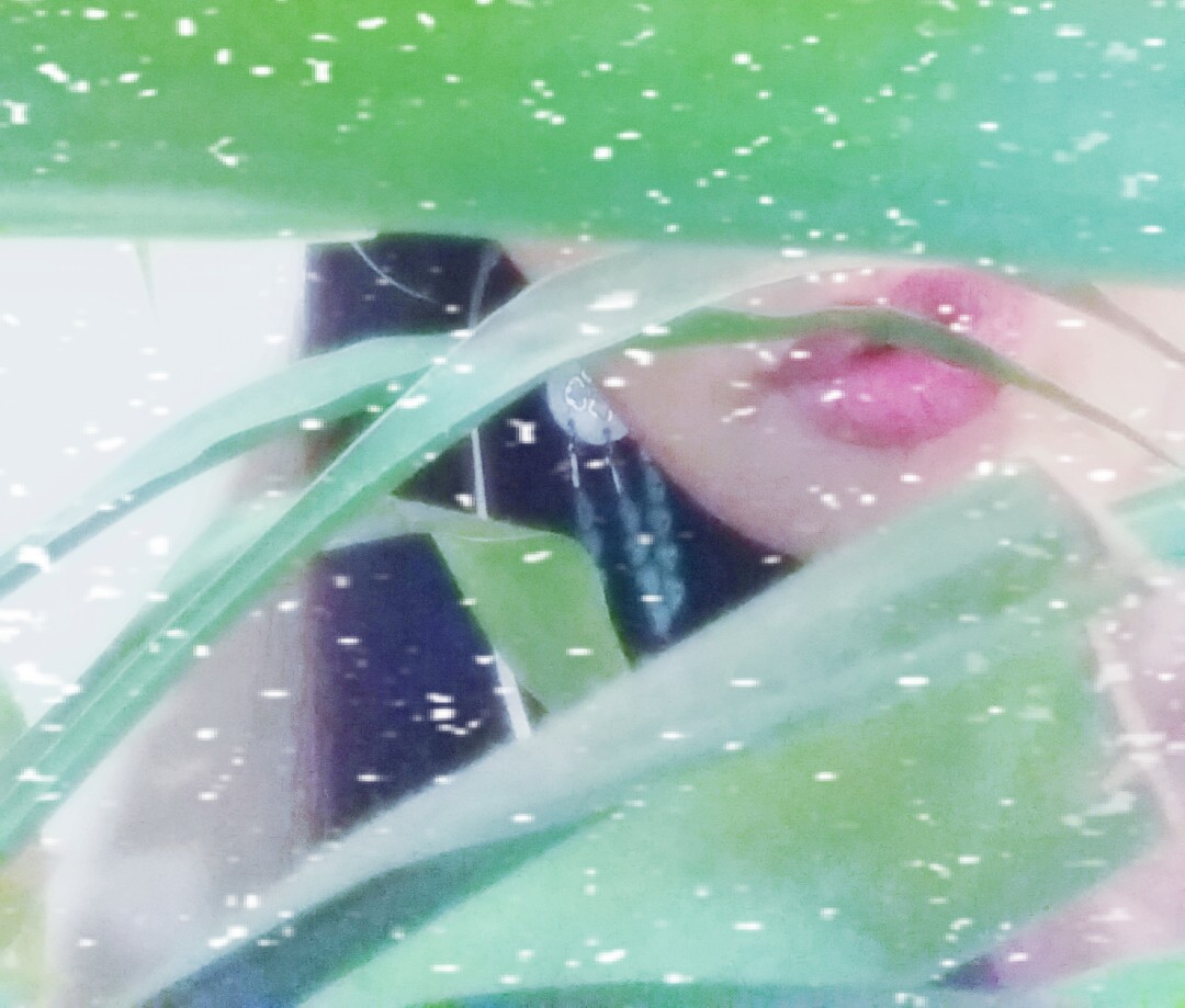 20140817_221633-1_conew3.jpg