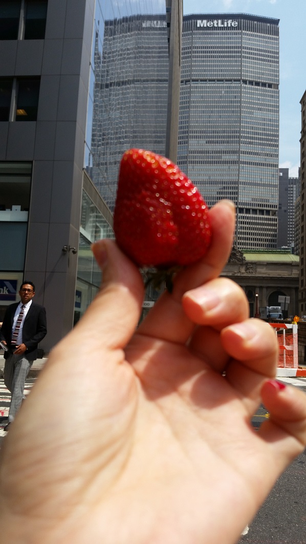 20140801_114329.jpg