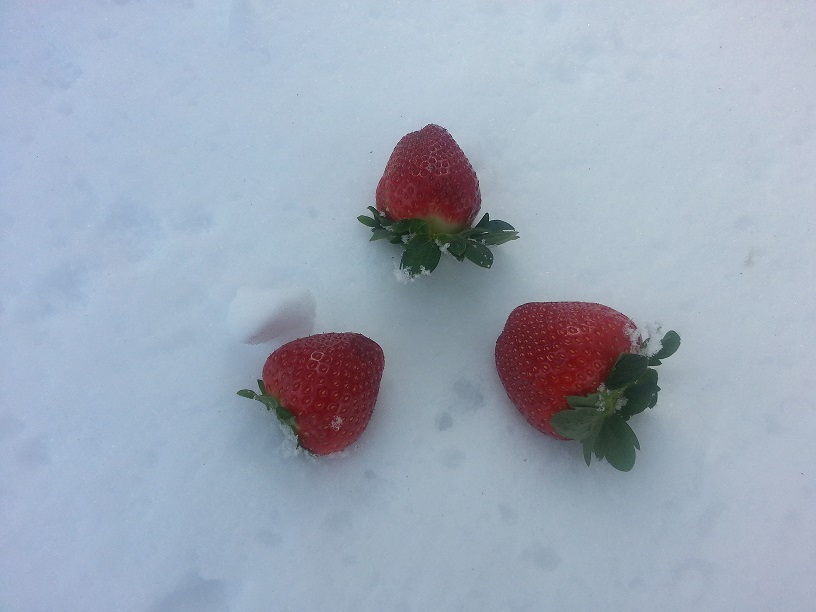 20140204_121115.jpg