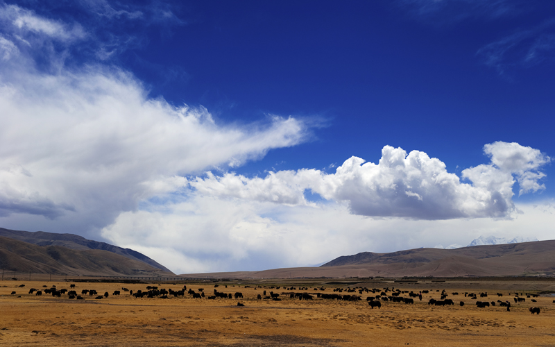 DSC_2974.jpg