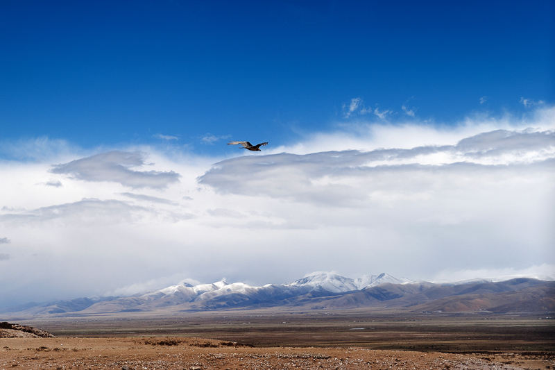 DSC_3179.jpg
