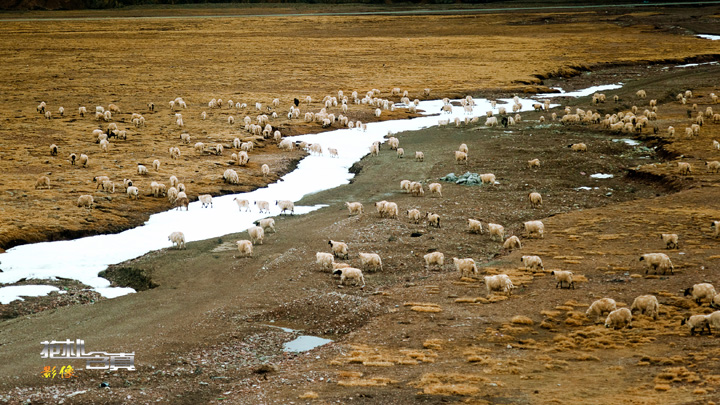 DSC_0573.jpg
