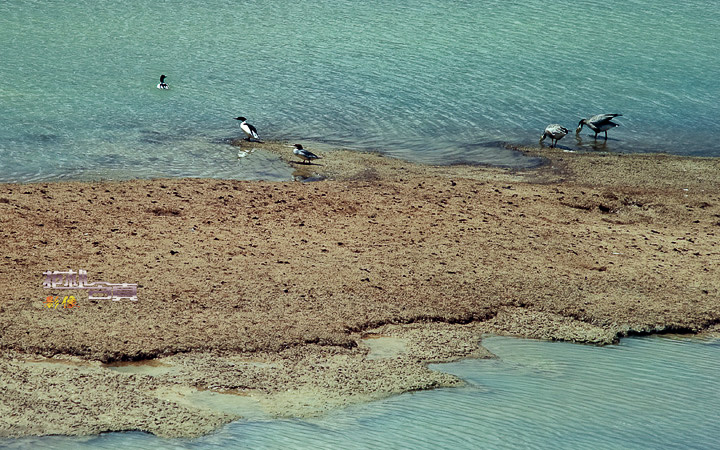 DSC_0740.jpg