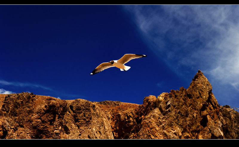 DSC_2799.jpg
