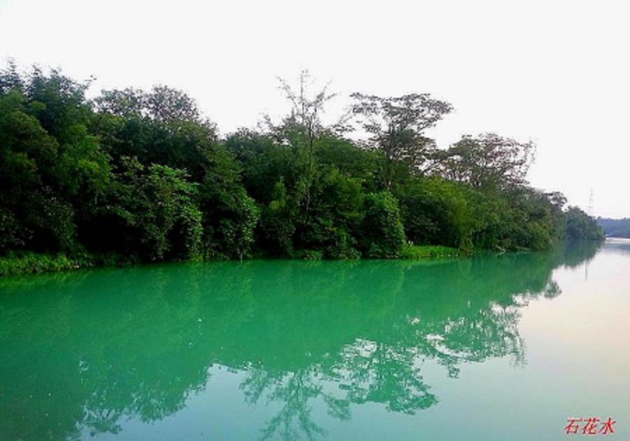 20140731_185513.jpg