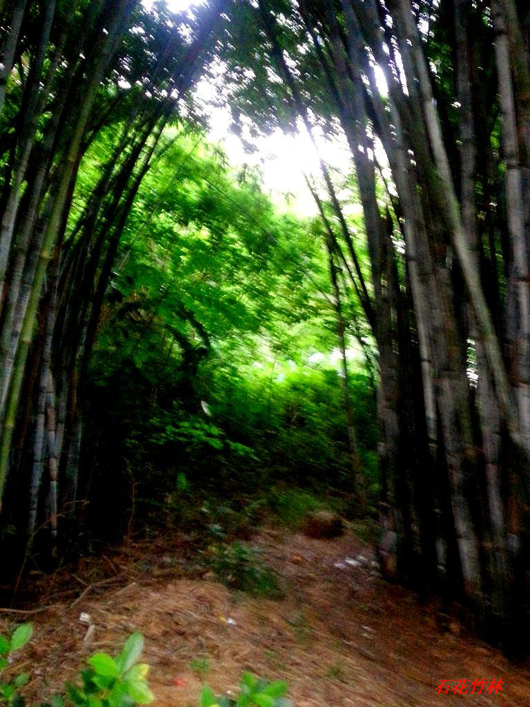 20140731_185922.jpg