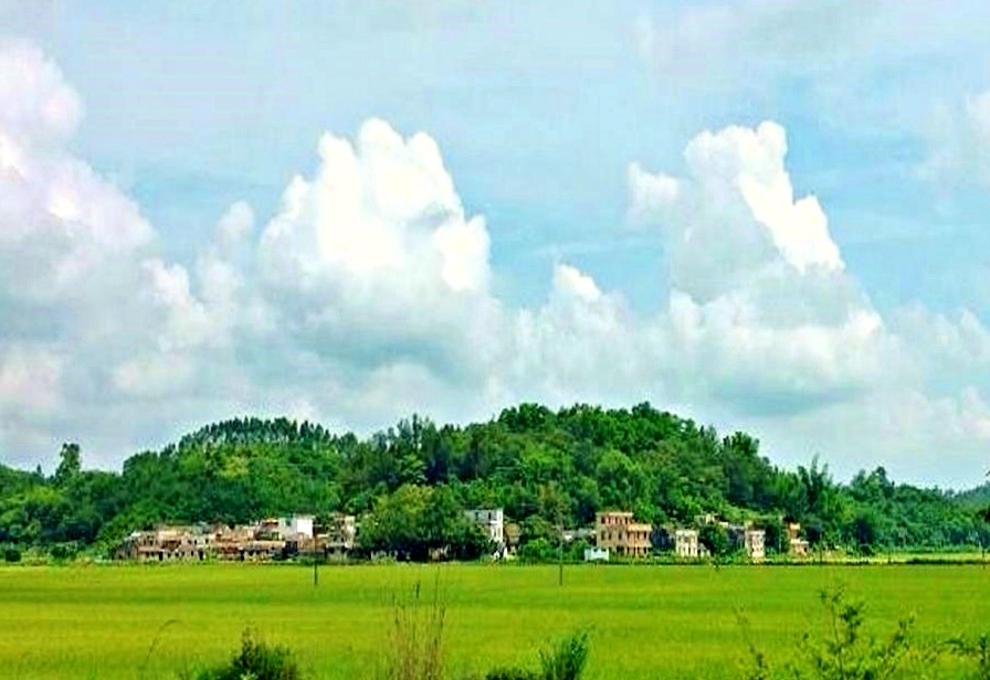 IMG_5646 - ����.JPG