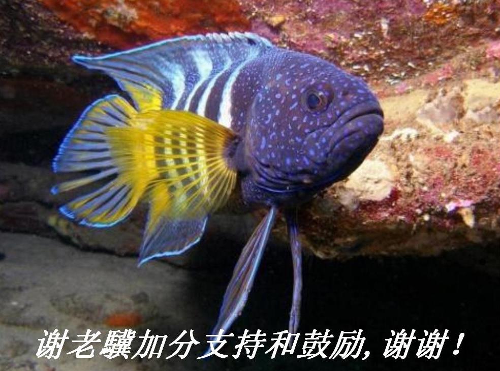 лKӷֺ֧͹,лл.JPG