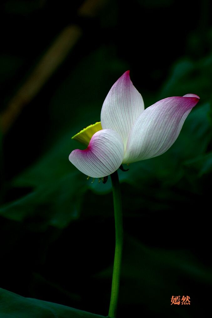 QQͼƬ20140618180052.jpg