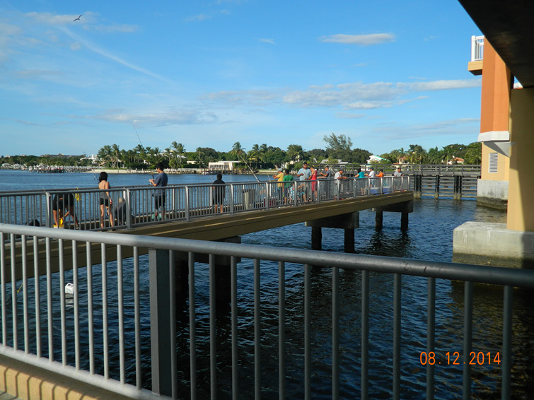 DSCN4397_.jpg