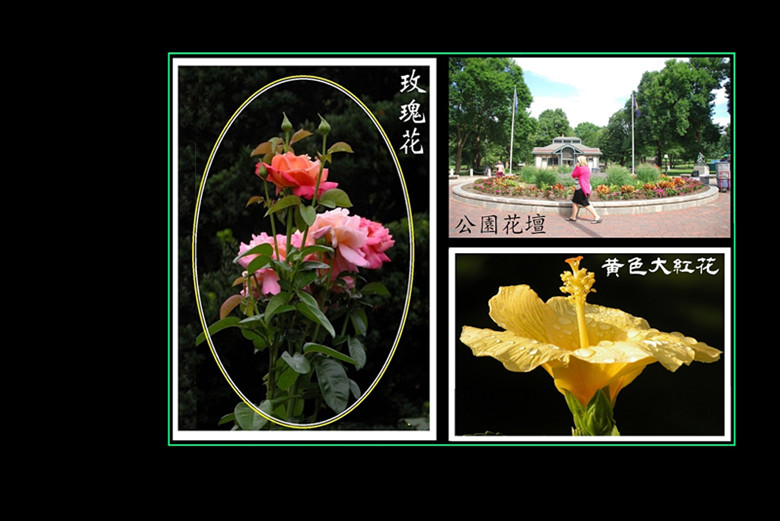 ӡ7.JPG