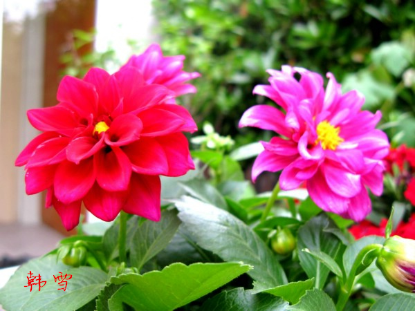 64d72eca08bb4994c817682b_.jpg