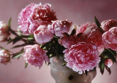 mmexport1409184866389.gif