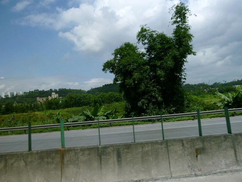P1090869.jpg