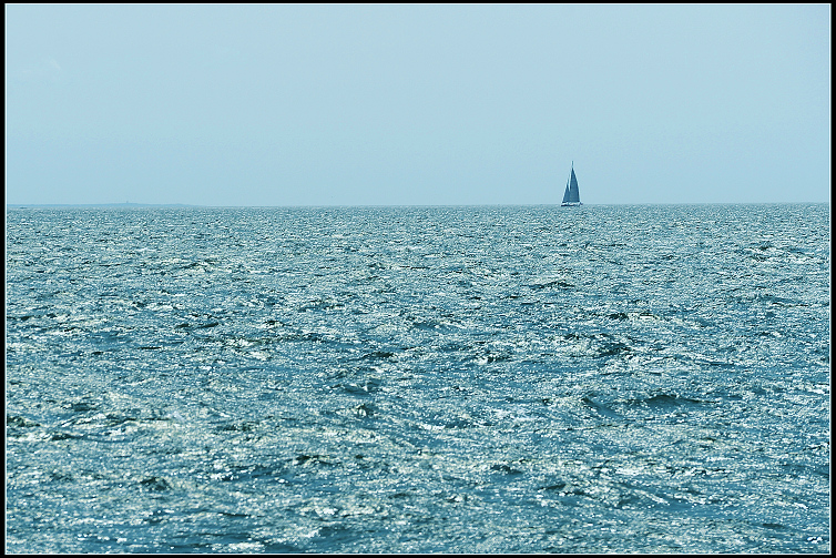 DSC_4240.JPG