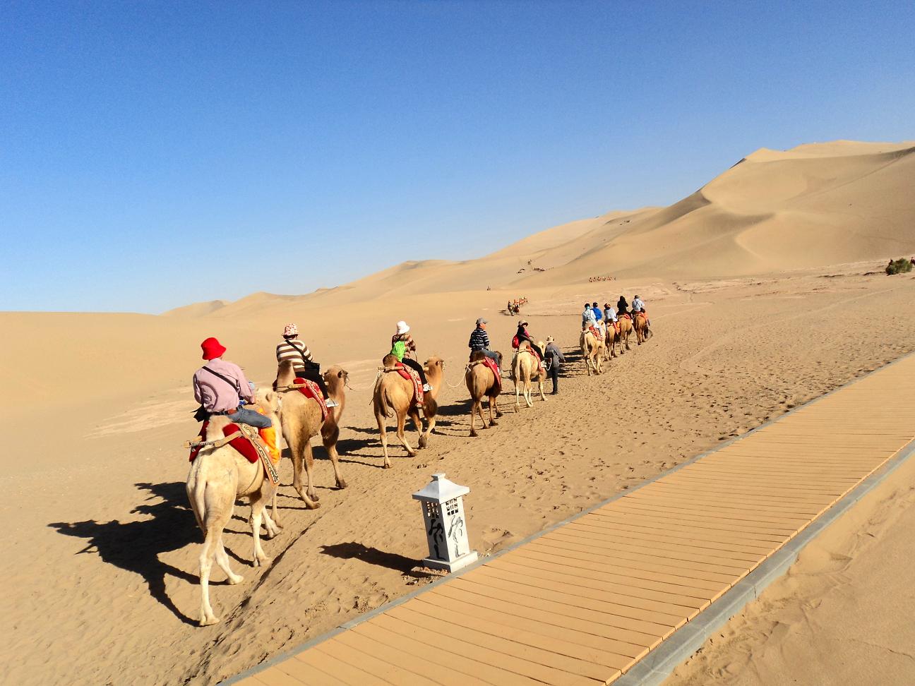 ���� DSC05780.JPG