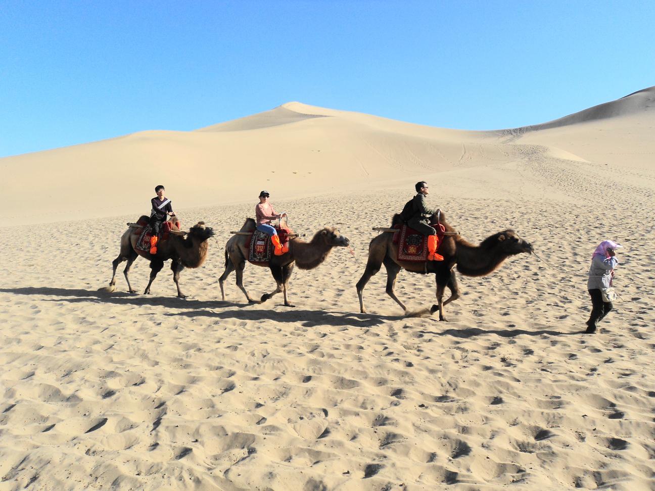 ���� DSC05790.JPG