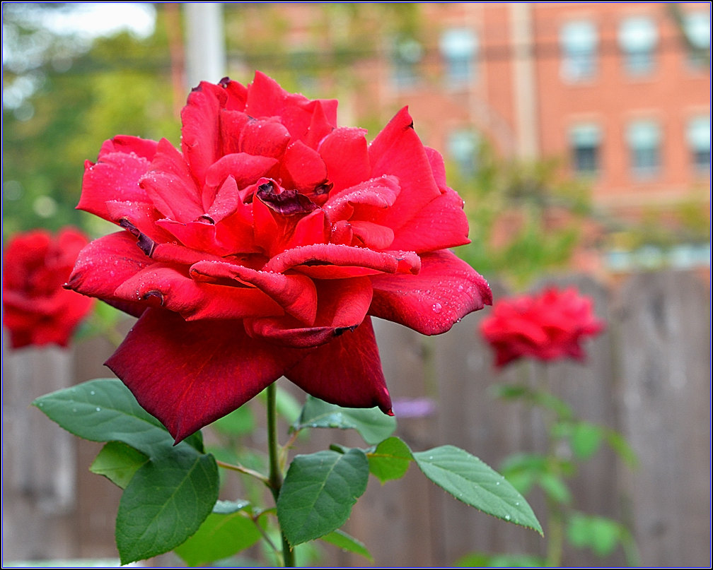 DSC_9095_.jpg