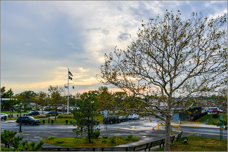 DSC_9228_-2.jpg