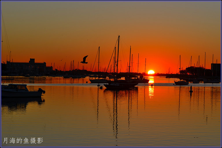 DSC_5413_.jpg