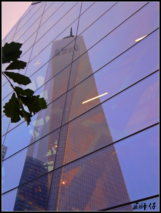 DSCN3305.jpg