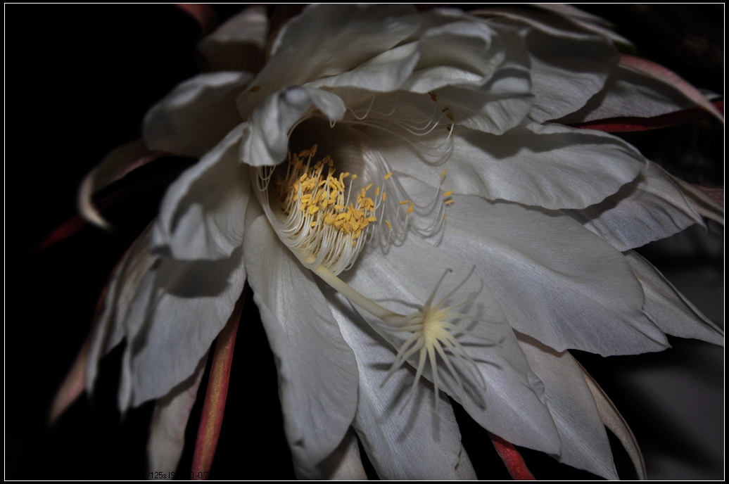 DSC_7069.jpg