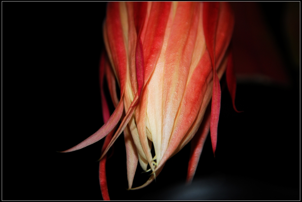 DSC_0311.jpg