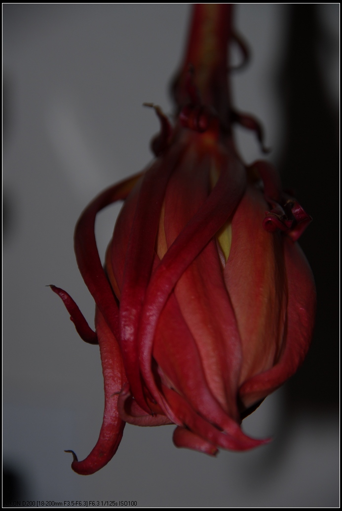 DSC_0326.jpg