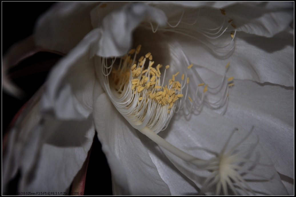 DSC_7067.jpg
