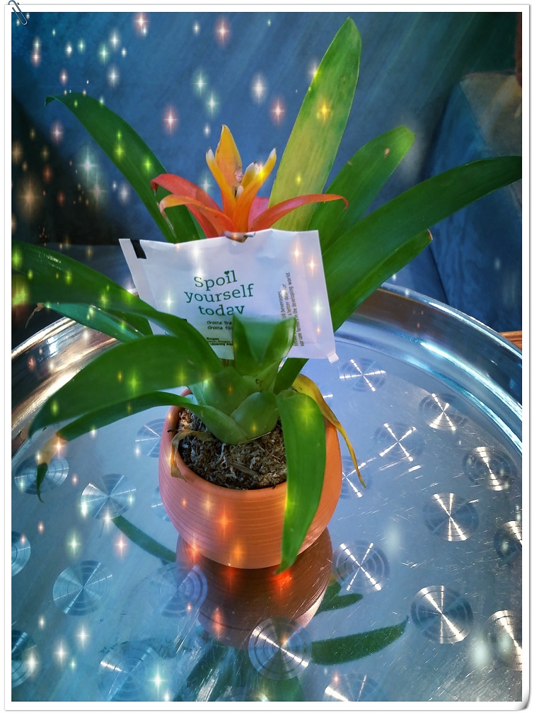20140920_134650_conew1.jpg