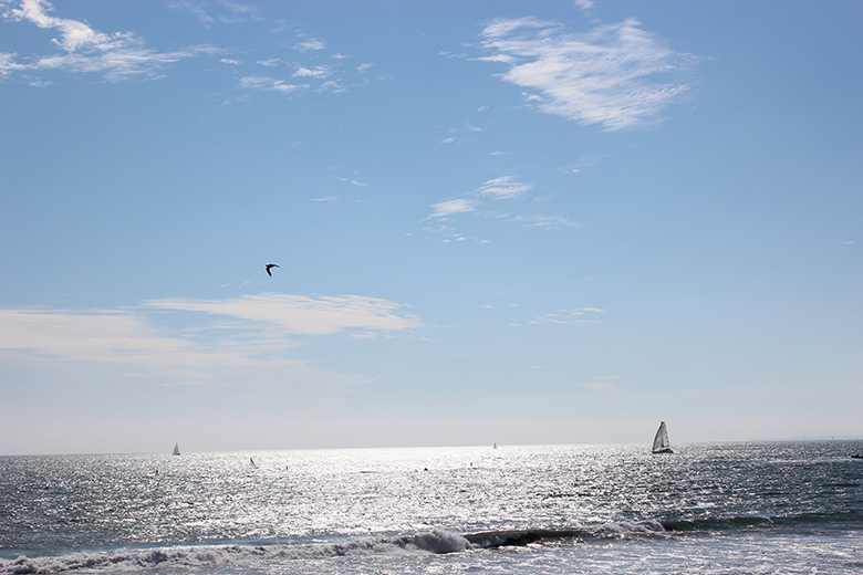 IMG_5937b.jpg