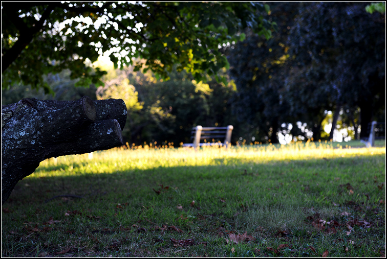 DSC_2978.jpg