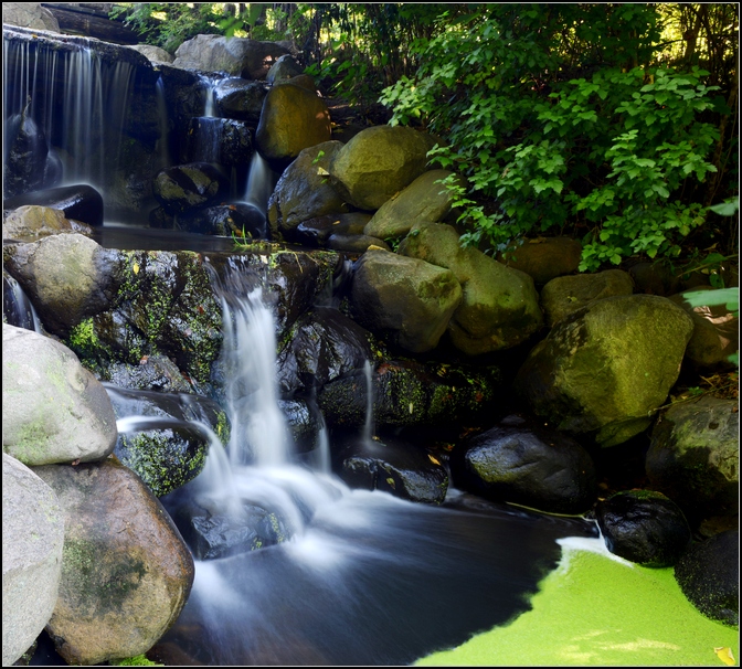 DSC_1668.jpg