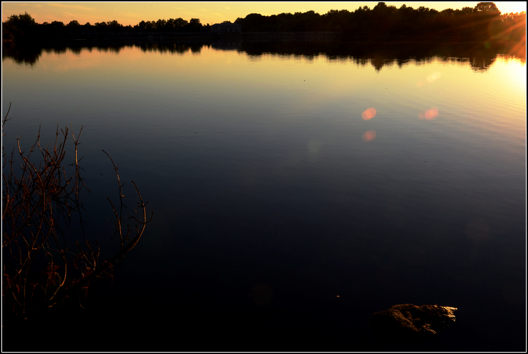 DSC_3005.jpg