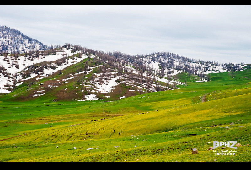 DSC_6691.jpg
