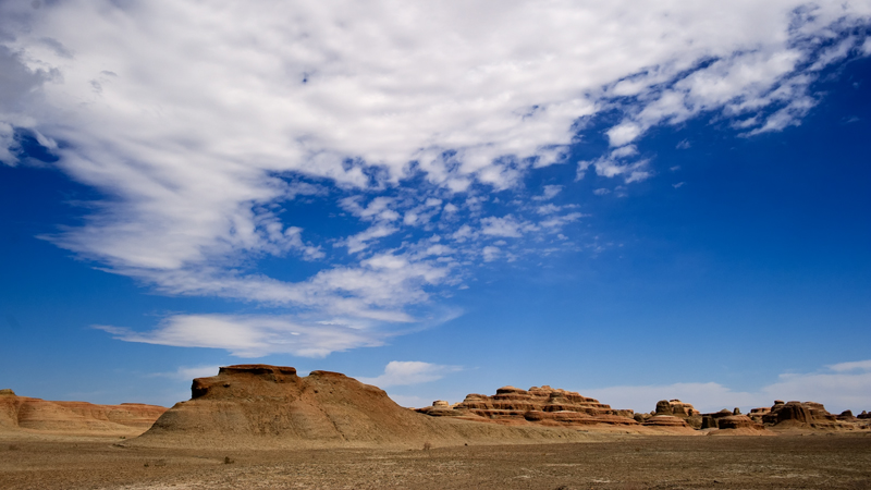 DSC_6355.jpg