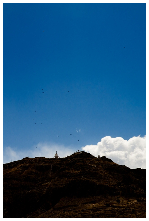 DSC_4032.jpg
