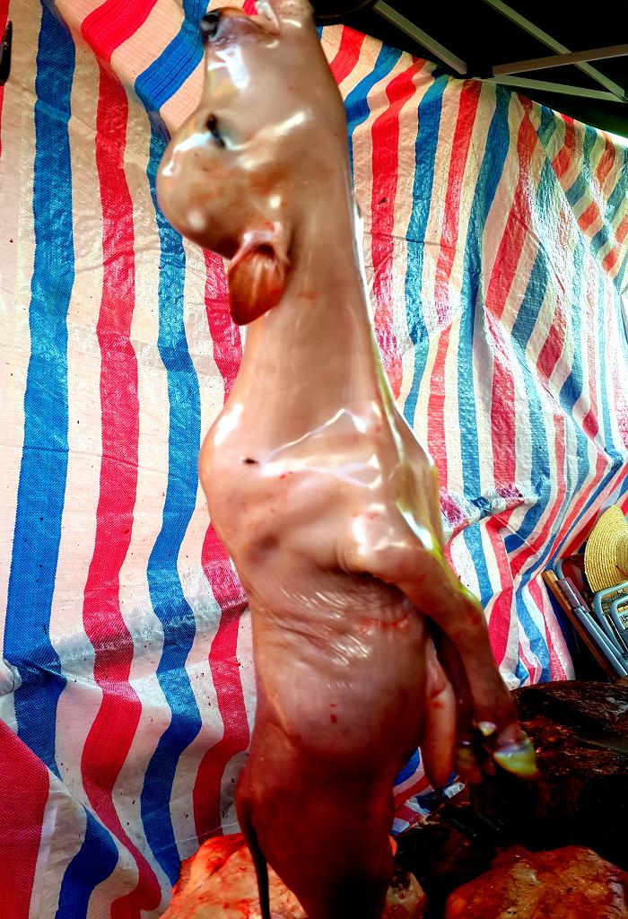 20140927_160700.jpg