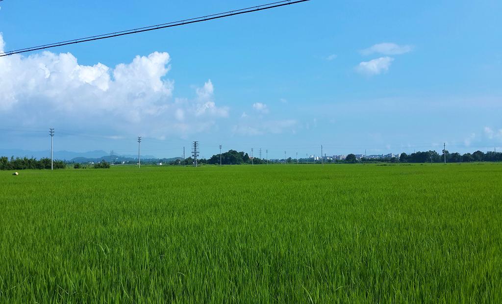 20140914_154355.jpg