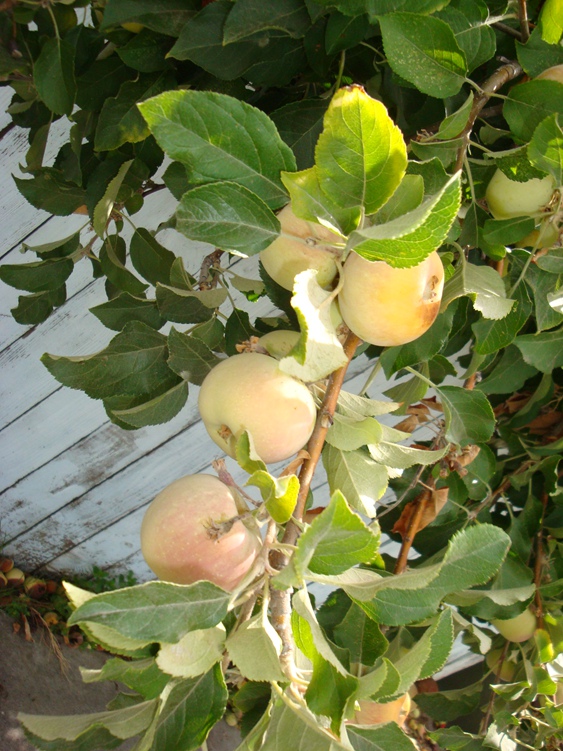 DSC04655_.jpg