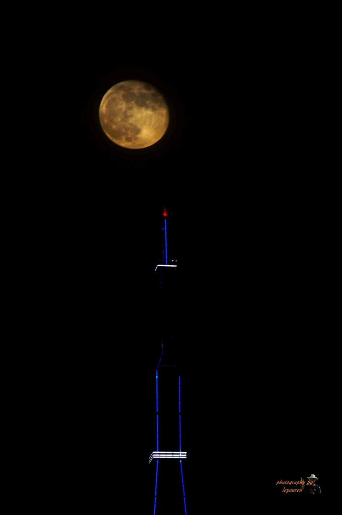 DSC_3962.jpg