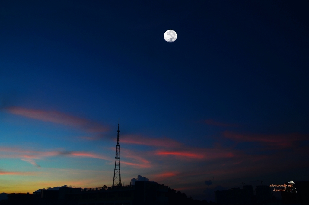 DSC_3973.jpg