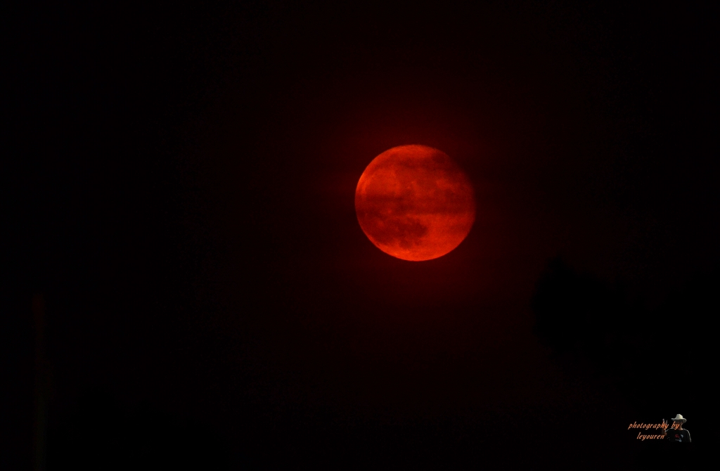 DSC_3947.jpg