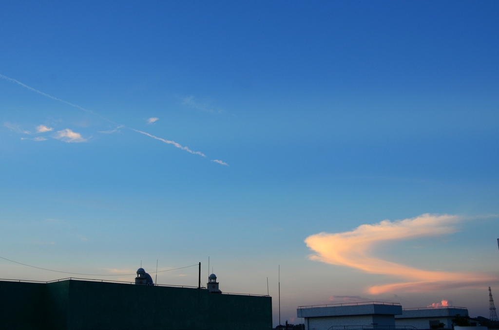 DSC_3624.jpg